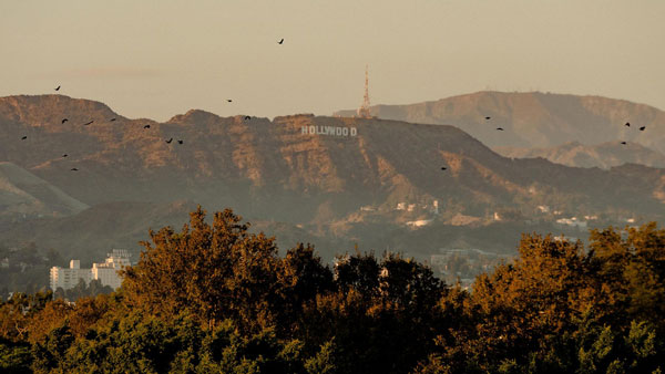 City Banner Image