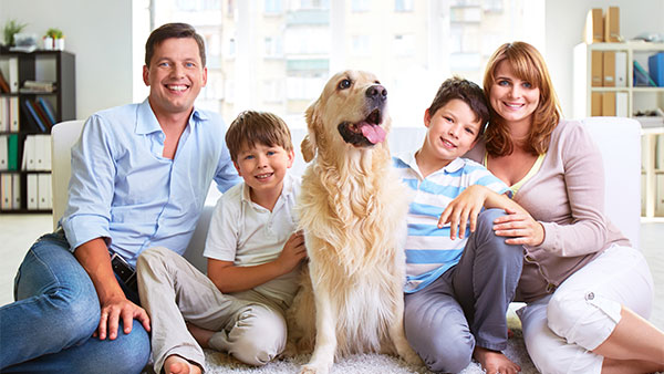 Family Banner Image