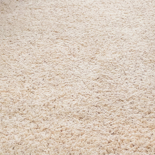 Carpet Banner Image